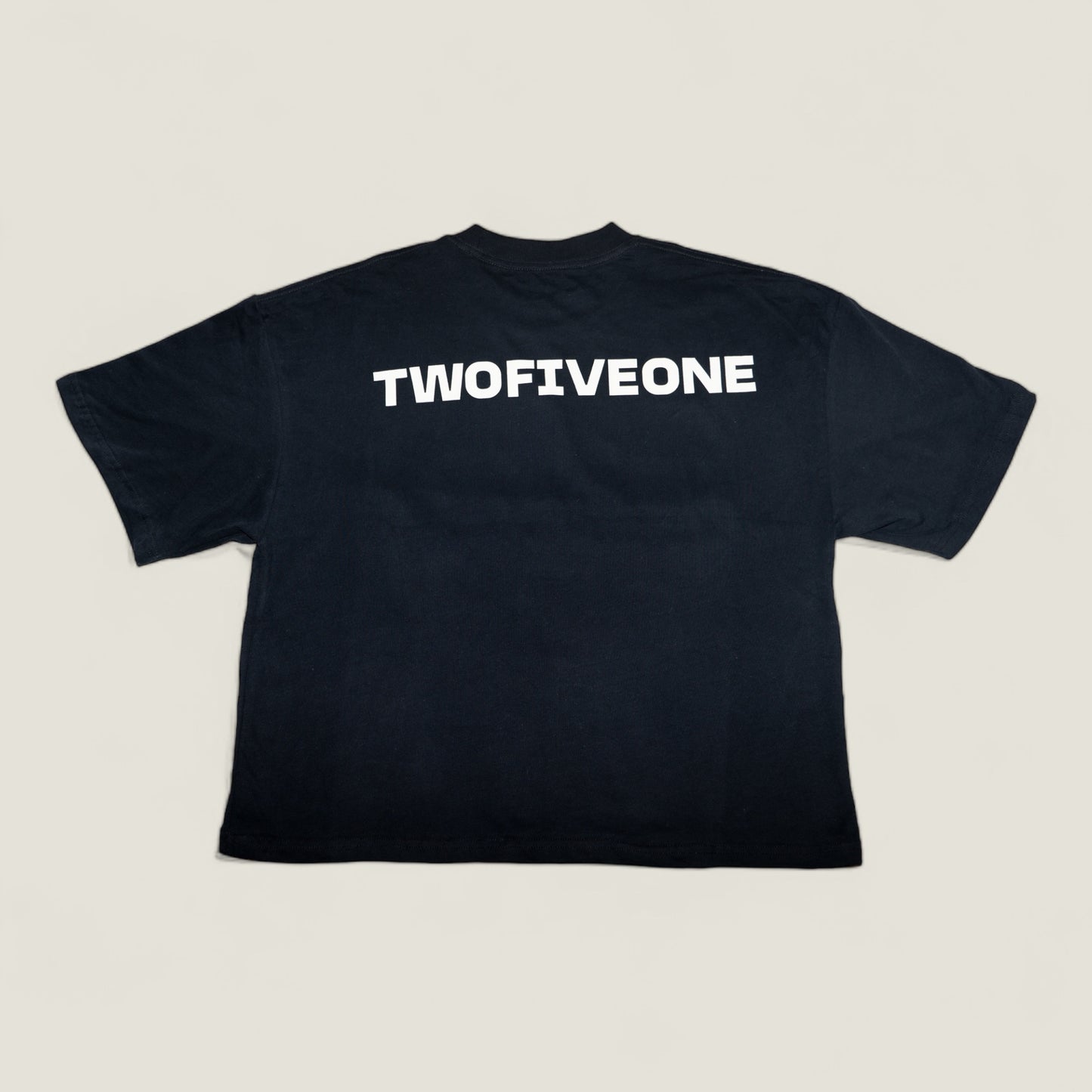 Exclusive Twofiveone Logo Tee (beige) - LIMITED